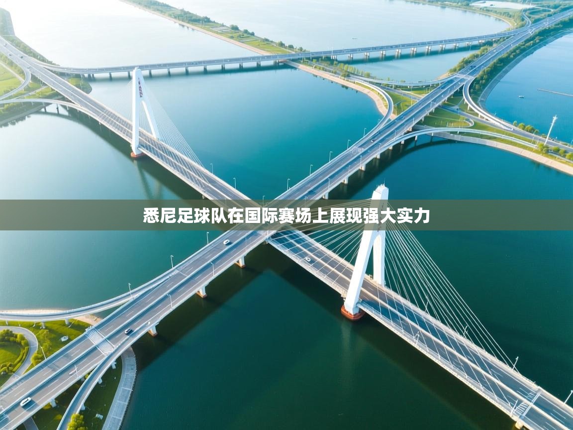 悉尼足球队在国际赛场上展现强大实力  第1张